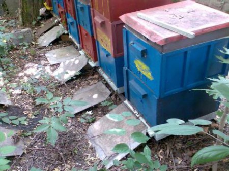 Somogyi Telephelyünk