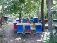 Balatonakarattyai telephelyünk